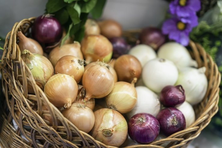 Are You Storing Onions the Wrong Way? Learn How to Store Every Variety -  Food Gardening Network