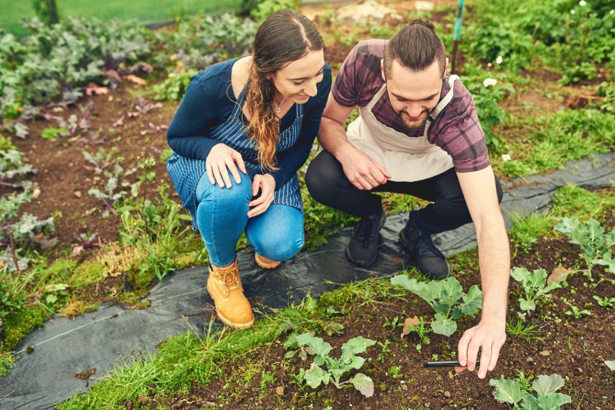 Best Vegetable Gardening Instagram Accounts
