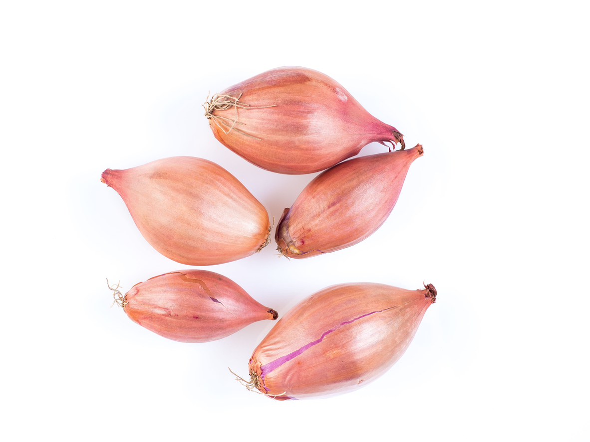 French Red Shallots Food Gardening Network