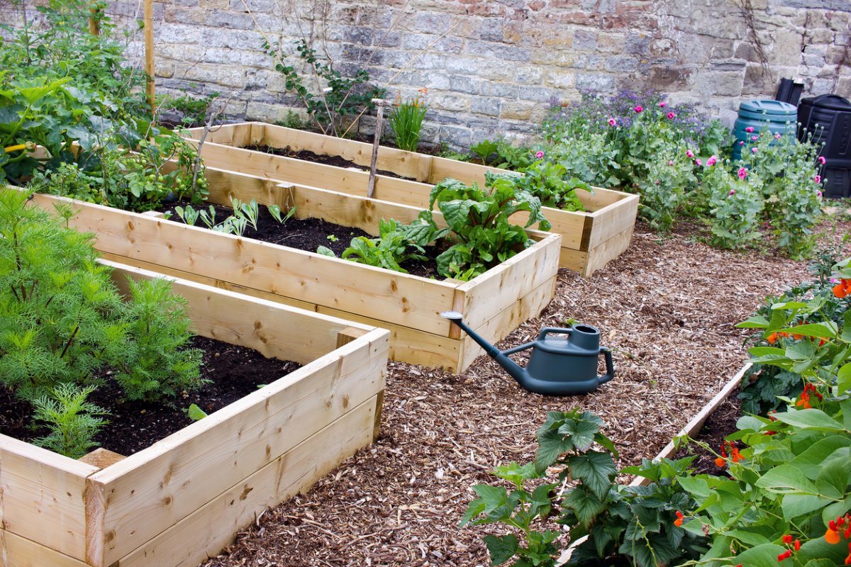 best type of wood for raised beds