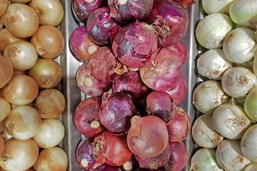 Are You Storing Onions the Wrong Way? Learn How to Store Every Variety