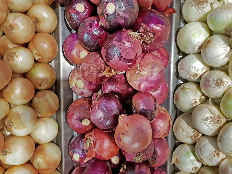 Storing onions