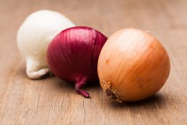 Types of Onion Plants