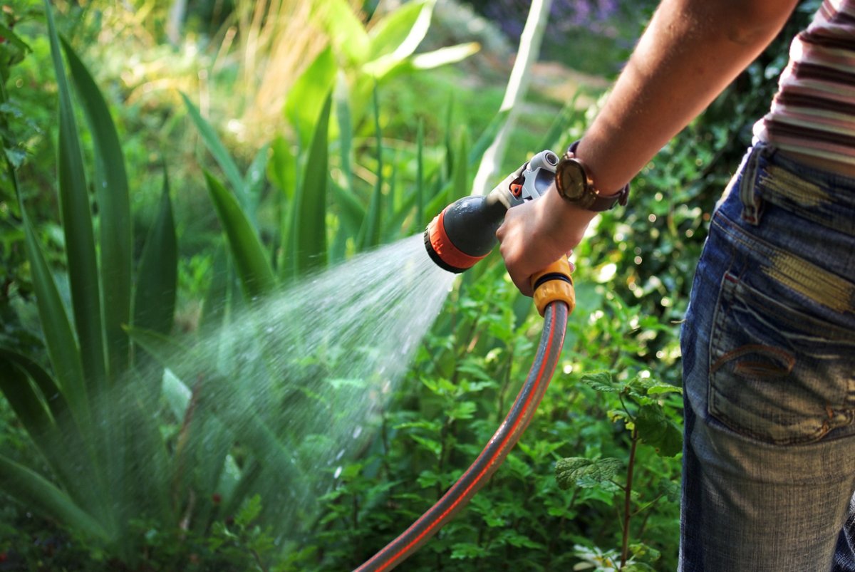 hose watering