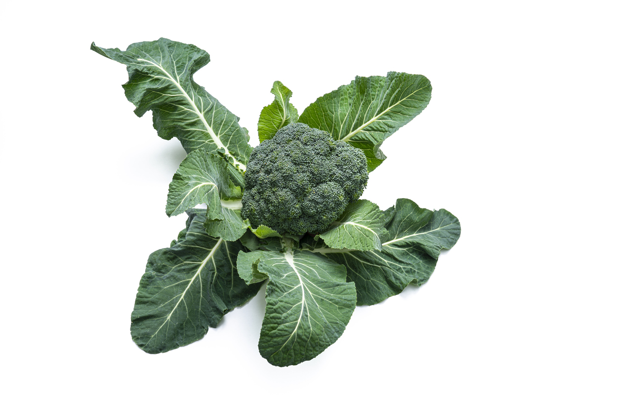 Unexpected But Edible 10 Weird Things You Can Actually Eat From Your