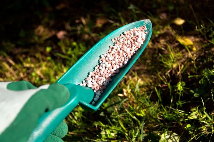 A scoop full of fertilizer pellets