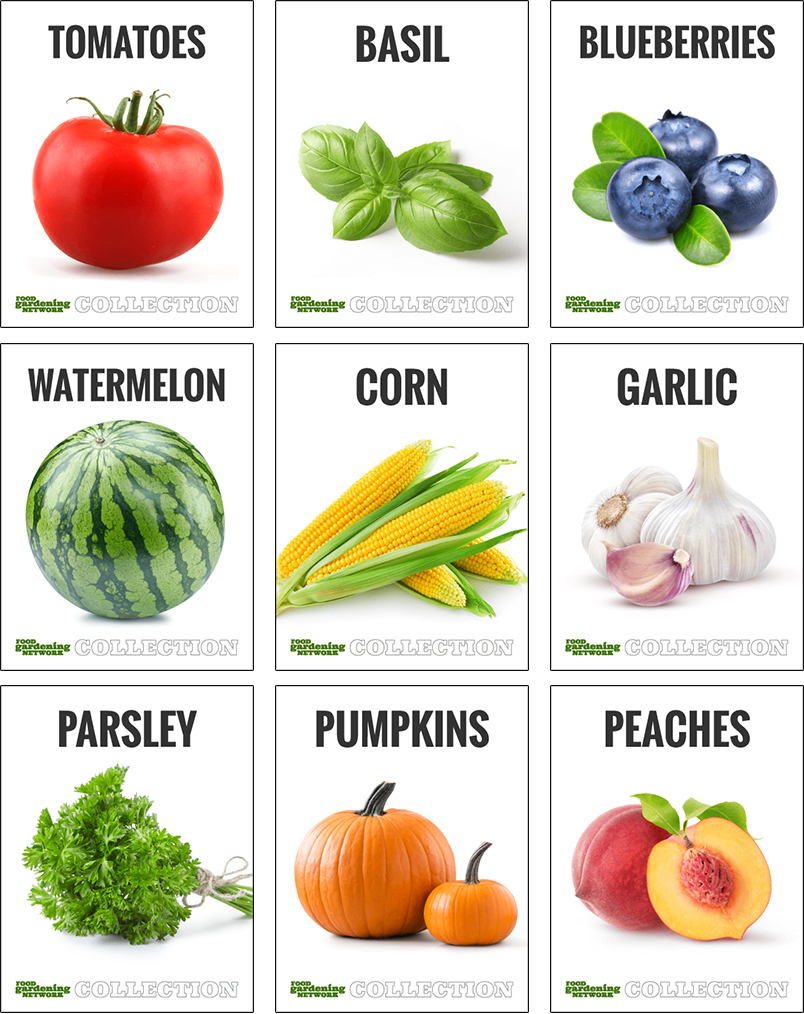 Food Gardening Gardening Guides