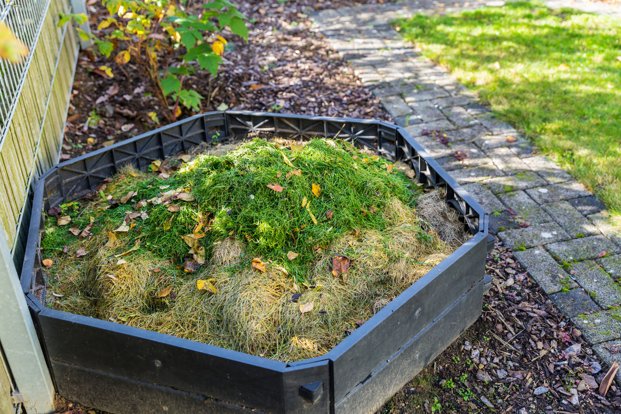 PeatFree vs PeatBased Compost Which is Better? Food Gardening Network