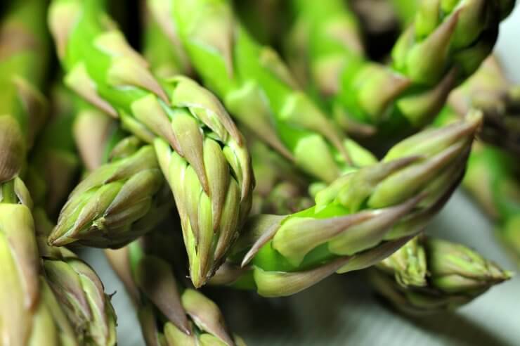 Fresh and healthy asparagus