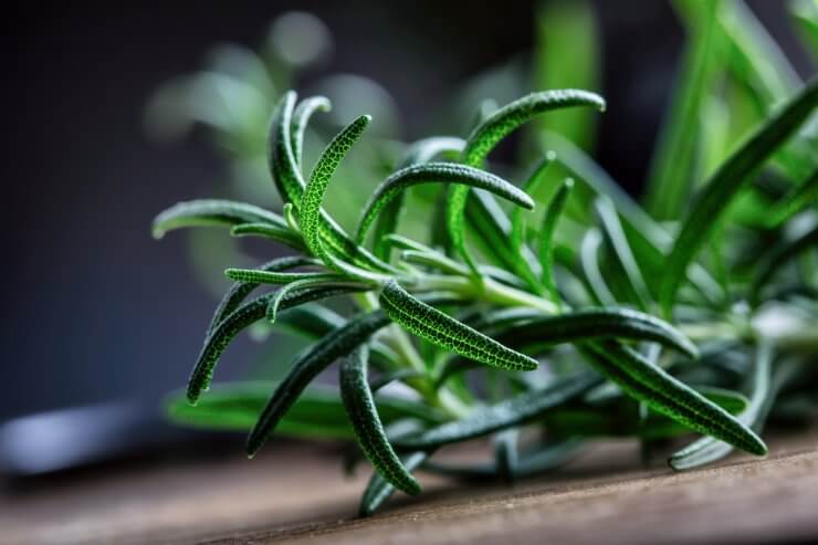 Rosemary ready for chopping