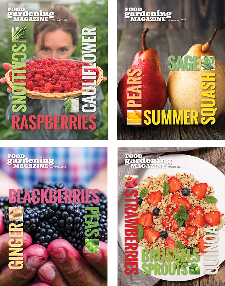 Food Gardening Magazine