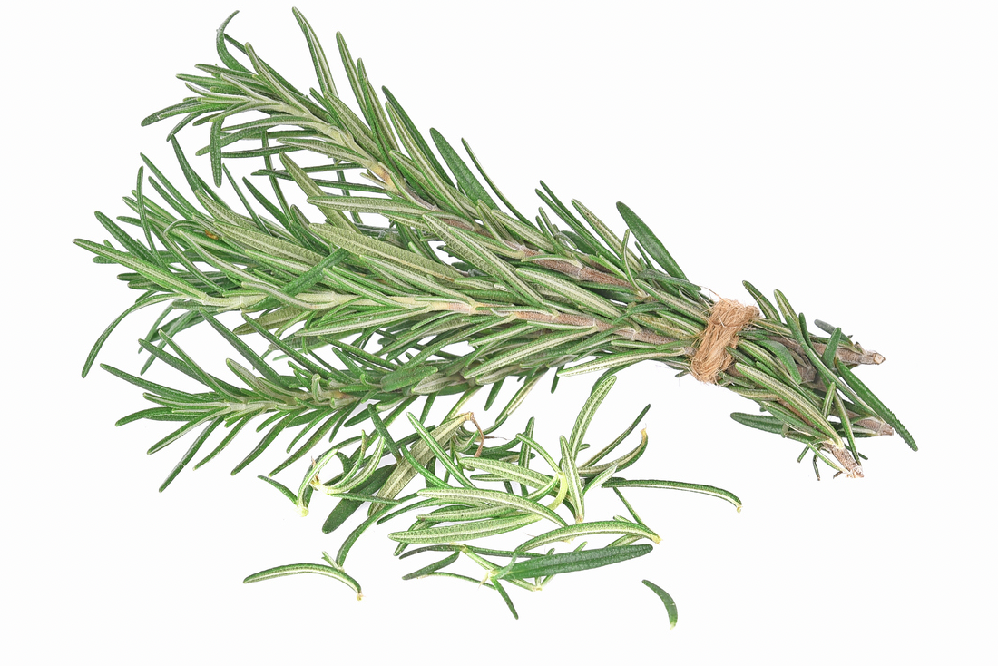 Spice Island Rosemary Food Gardening Network