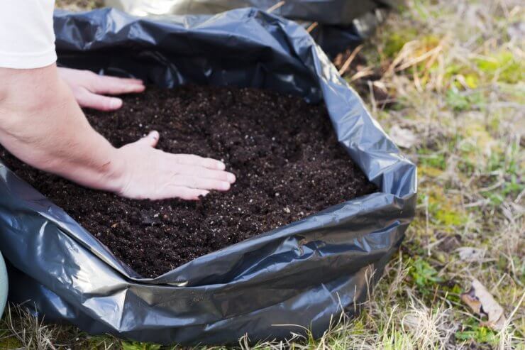 Grow Potatoes in a Bag - BloominThyme