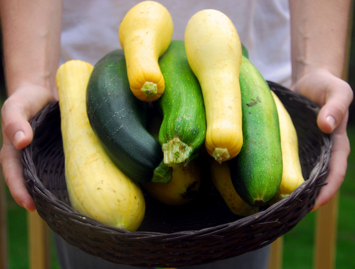 7 Tips for Storing Squash No Matter What Type Food Gardening Network