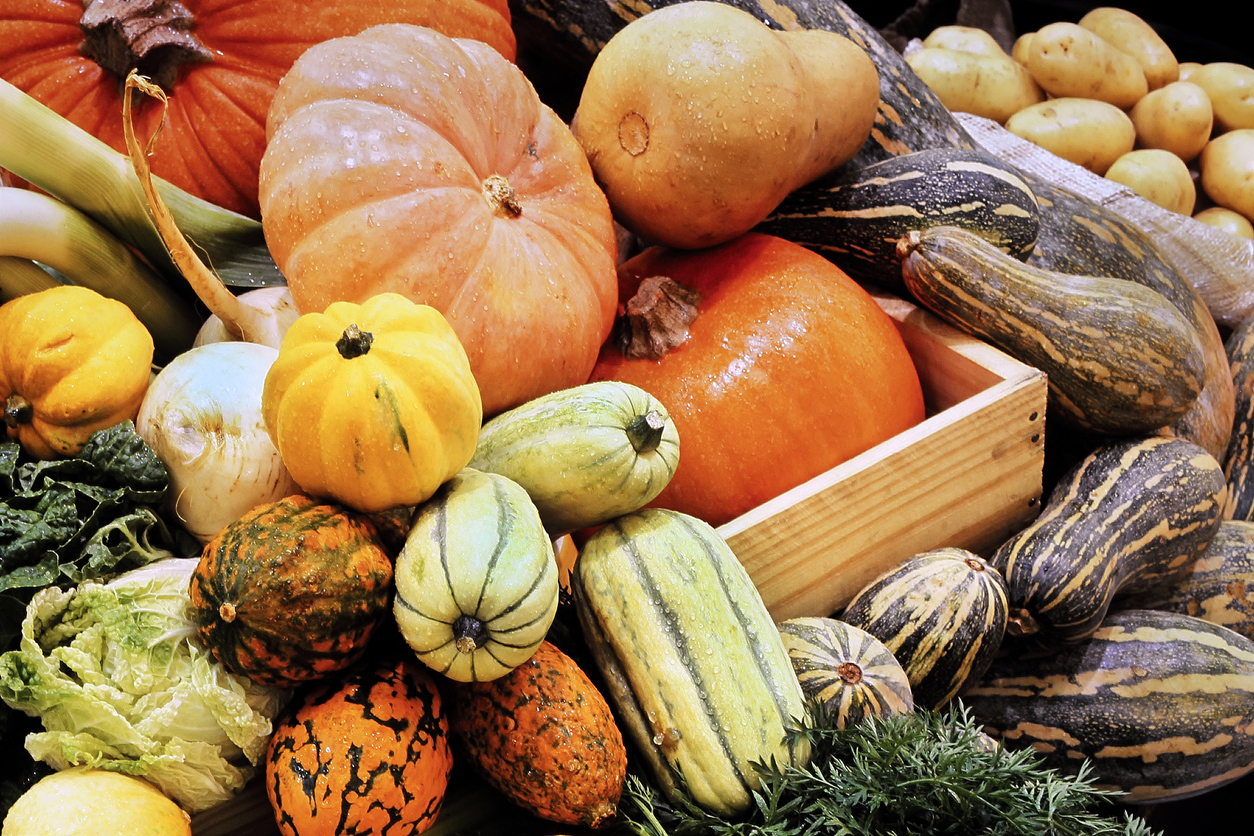 7-tips-for-storing-squash-no-matter-what-type-food-gardening-network