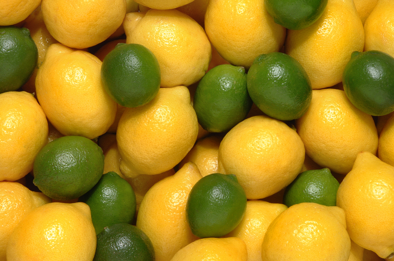 LemonLime “Cocktail” Tree Food Gardening Network