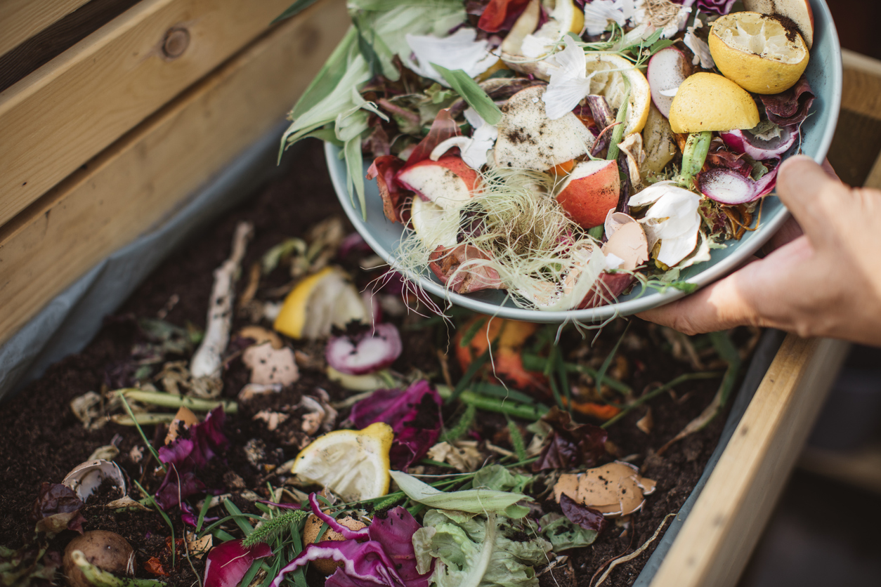 What Is Bokashi Composting