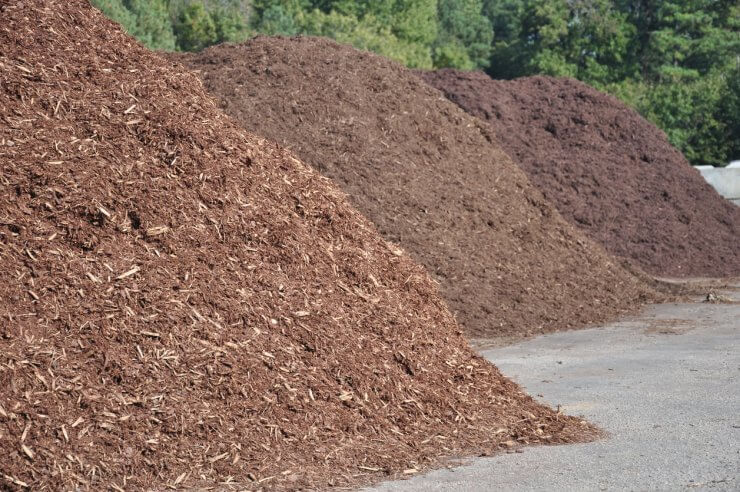 Mulch to suppress weeds and retain water