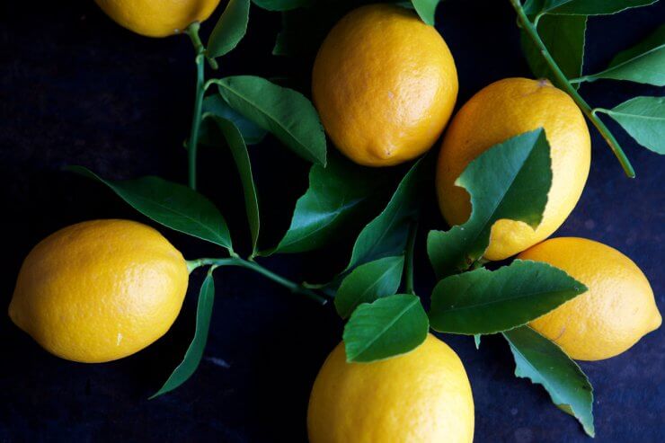 Picked lemons