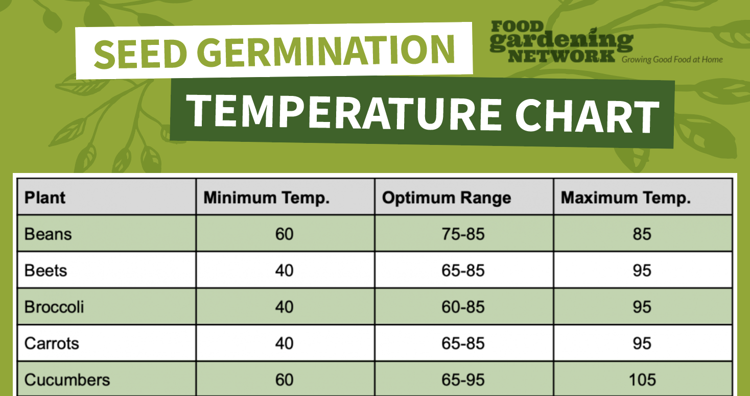 The Beginner Gardener's Seed Germination Temperature Chart Food