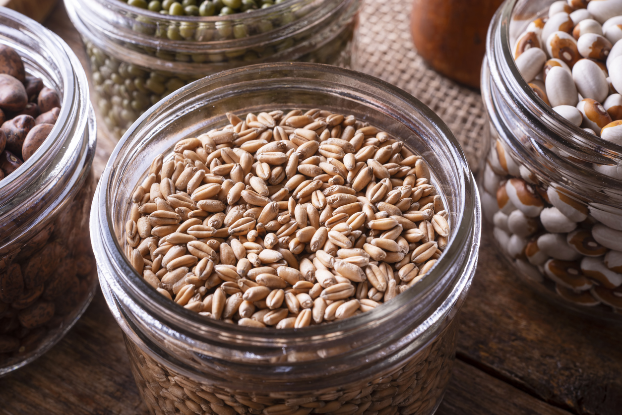 Preserving and Storing Wheat Food Gardening Network