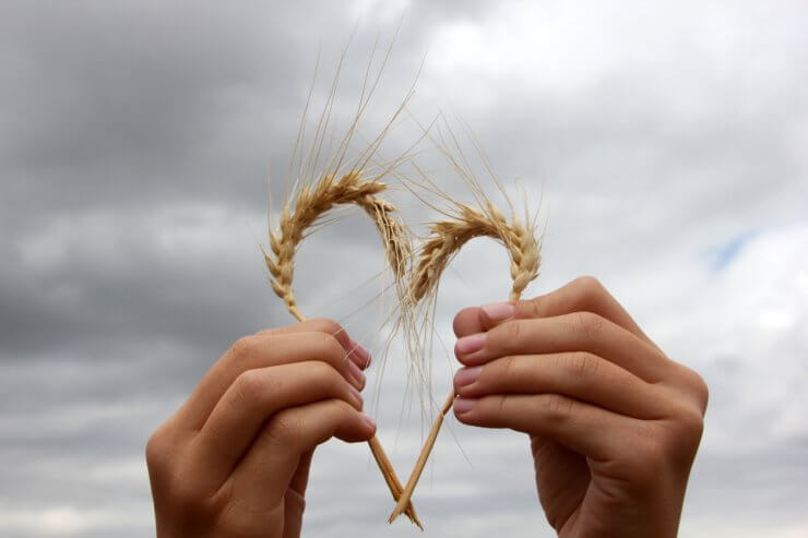 Wheat formed into a heart