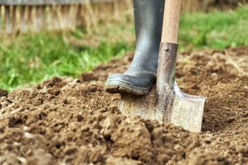 7 Tips for Preparing Clay Soil for Planting Vegetables