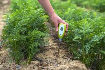 5 Tips for Testing Soil pH in Vegetable Gardens