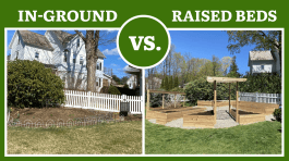 The Biggest Differences Between Planting in Raised Beds vs. In-Ground