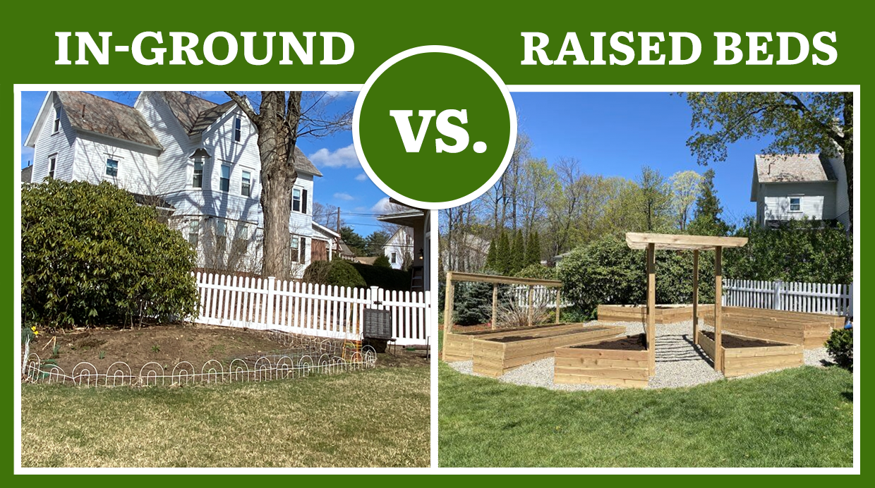 The Biggest Differences Between Planting in Raised Beds vs. InGround