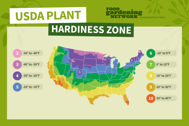 USDA planting zone
