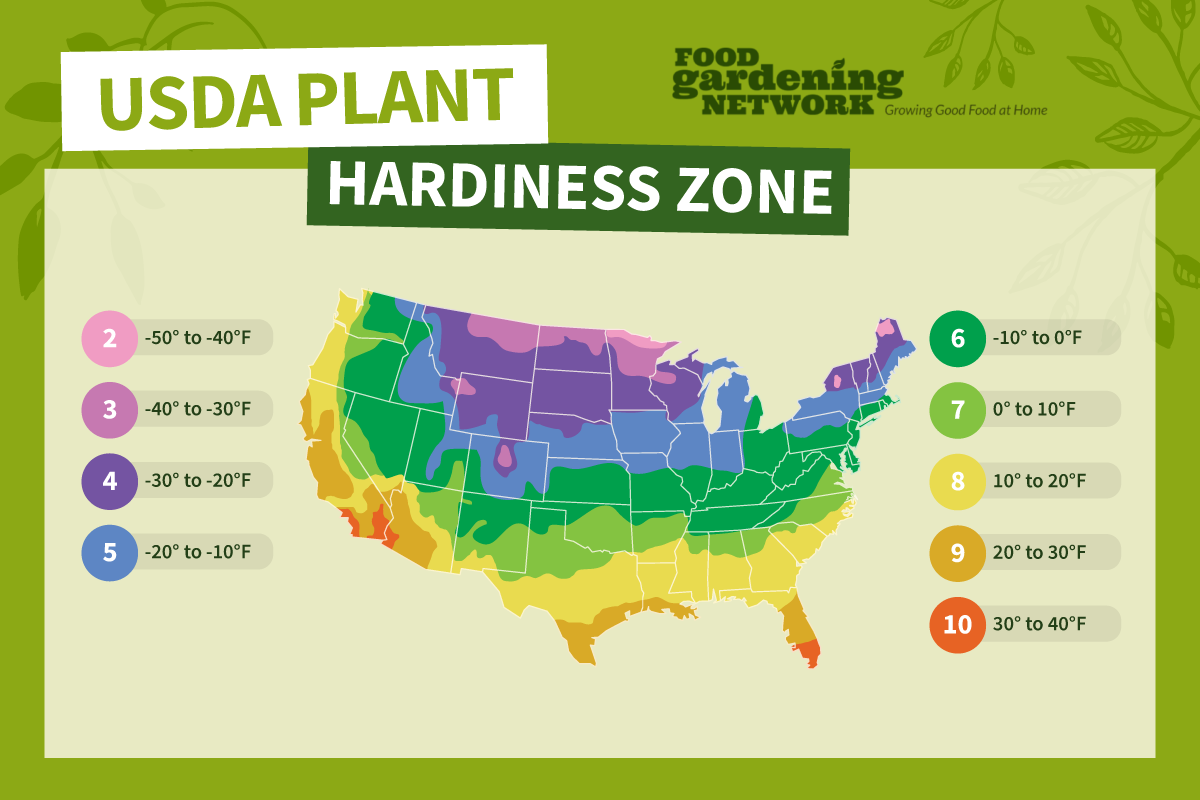 Agriculture Plant Hardiness Zones Decor