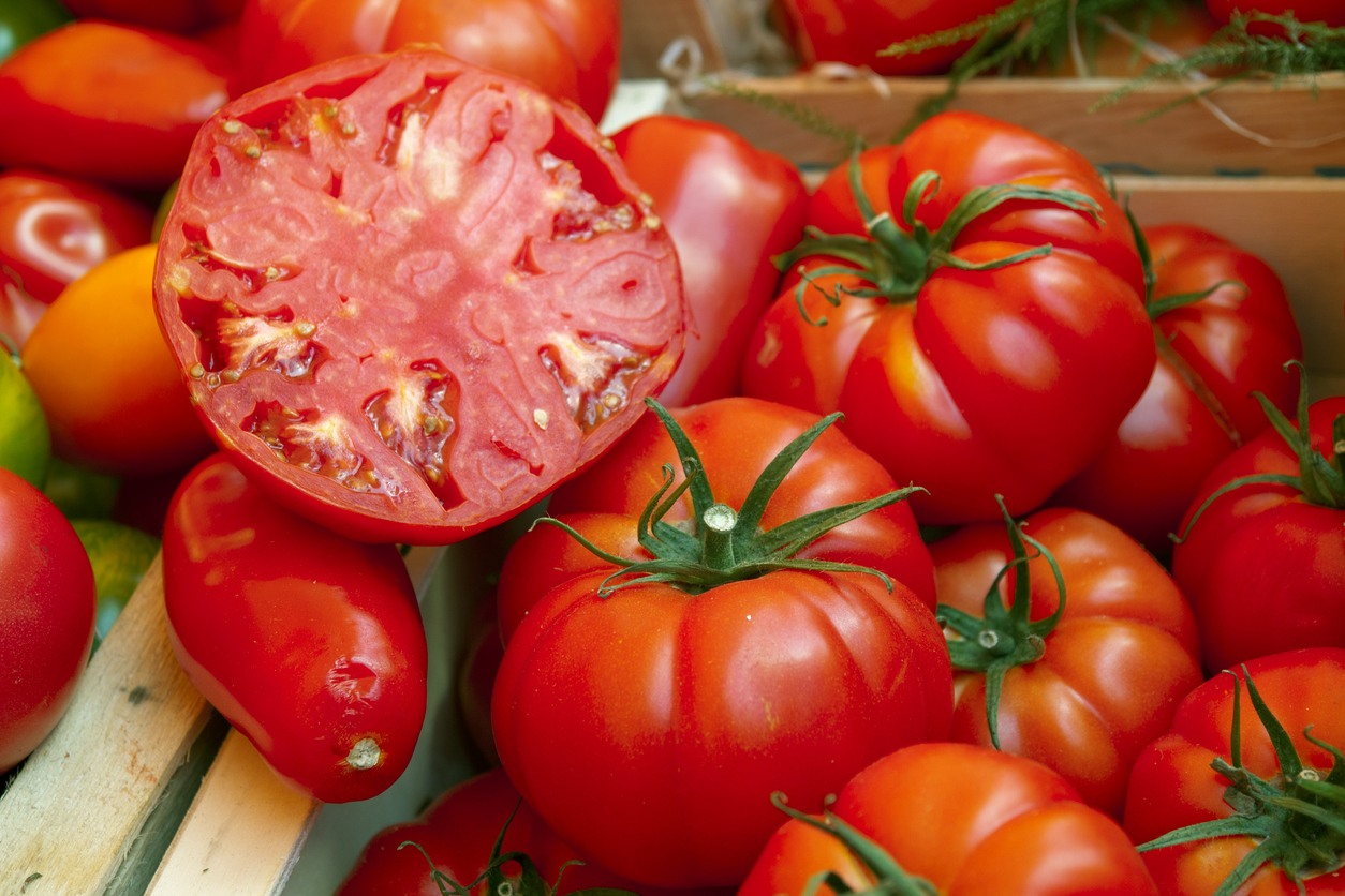 15 Tomato Varieties to Grow in Your Home Garden for 2021