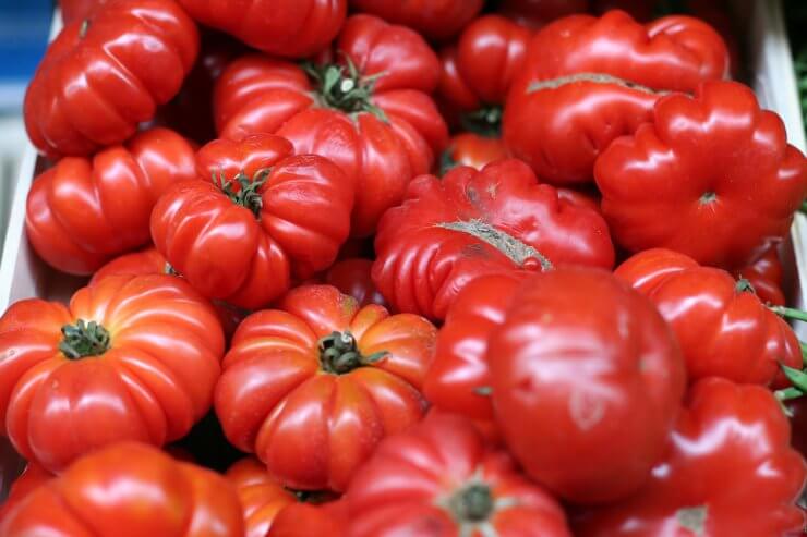 The Riddle of Beefsteak Tomatoes: Is Beefsteak Tomato Hybrid