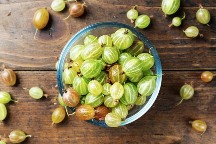 Bowl of gooseberries