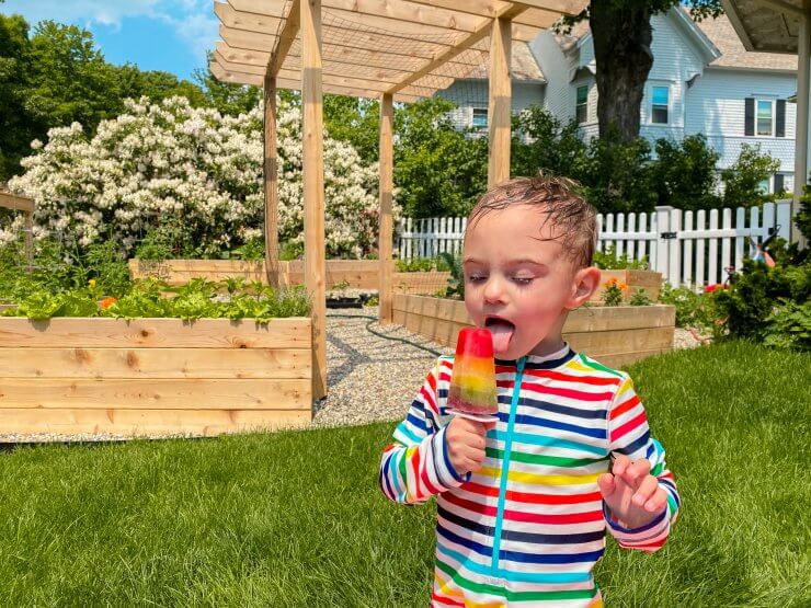 homemade rainbow popsicle recipe