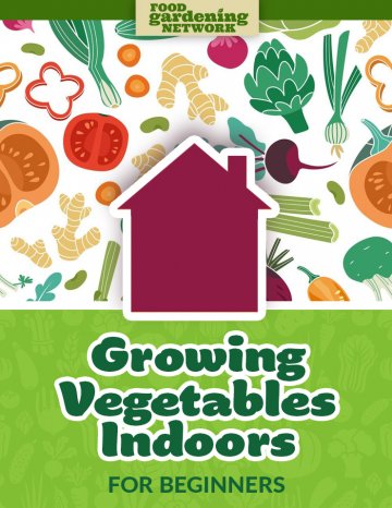 Growing Vegetables Indoors for Beginners