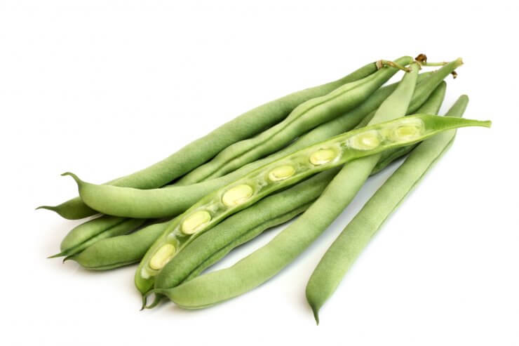 Kentucky wonder 125 long-podded bush green beans