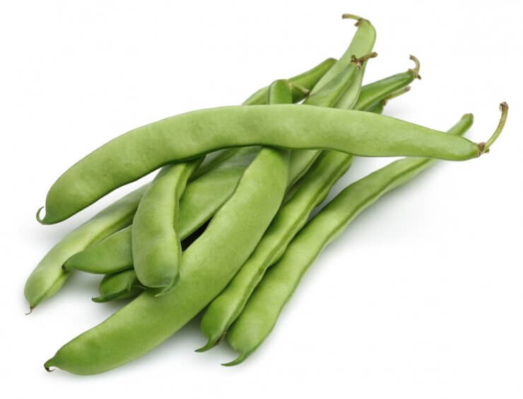 Mascotte filet bush green beans