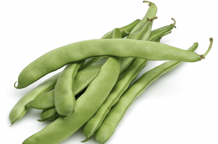 Mascotte filet bush green beans feature