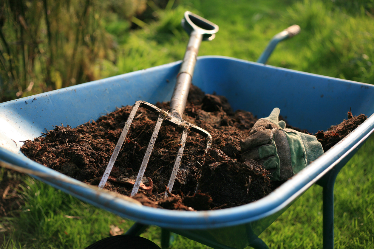 When and How to Use Compost in the Spring Food Gardening Network