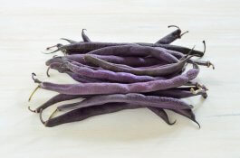 Rich Purple Pod Pole Beans