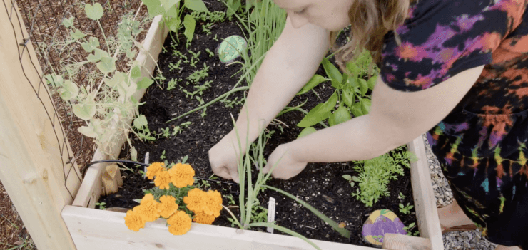 easy DIY drip irrigation system