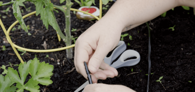 easy DIY drip irrigation system