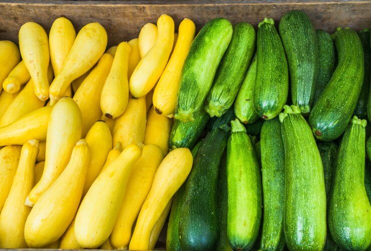 how-to-preserve-zucchini-and-summer-squash-5-ways-food-gardening-network