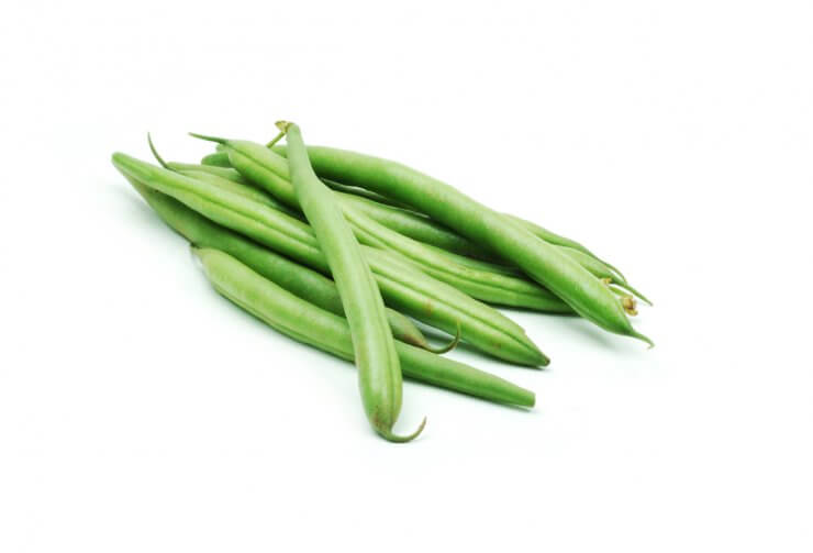 Tendergreen snap bush green beans