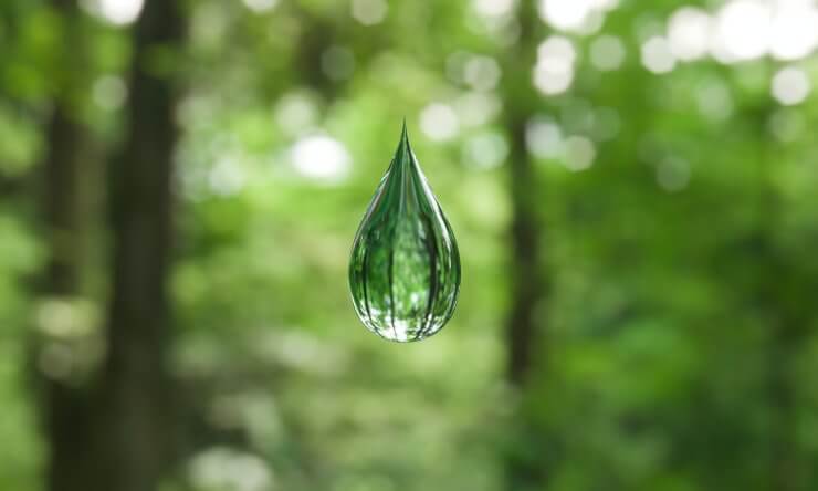 recycle rain water