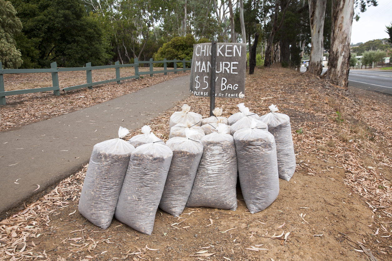 Prevent Foodborne Pathogens When Using Manure in Vegetable Gardens