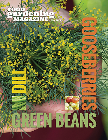Food Gardening Magazine July 2021