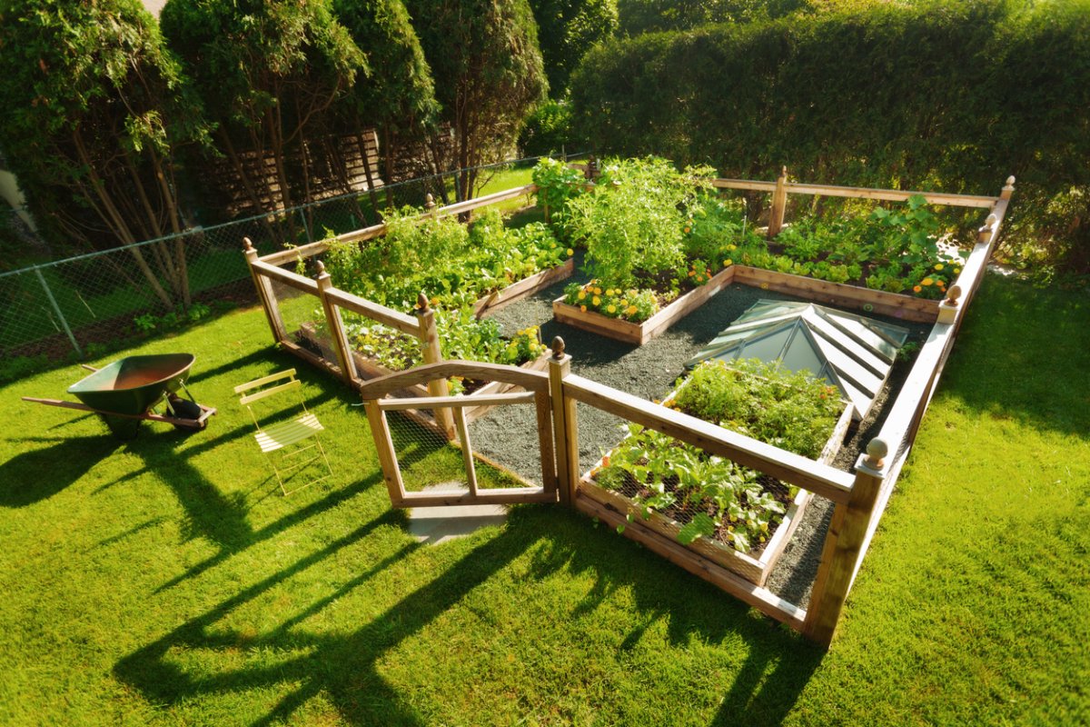 18 Enclosed Vegetable Garden Ideas for Every Budget   Food ...